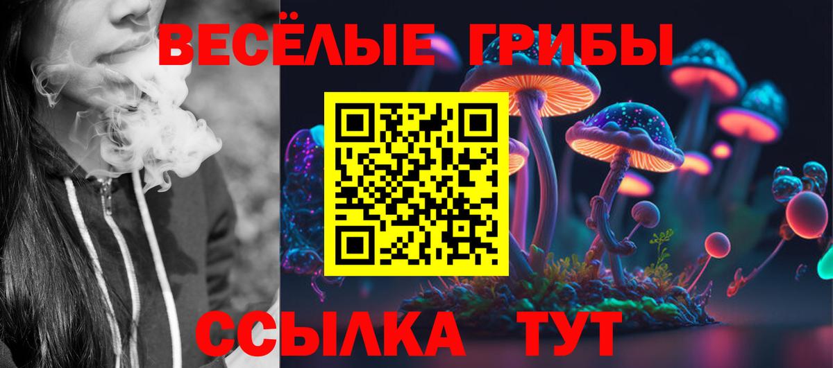 Галлюциногенные грибы Psilocybe  Псилоцибиновые грибы MAGIC MUSHROOMS  Вход с VPN  Санкт-Петербург 